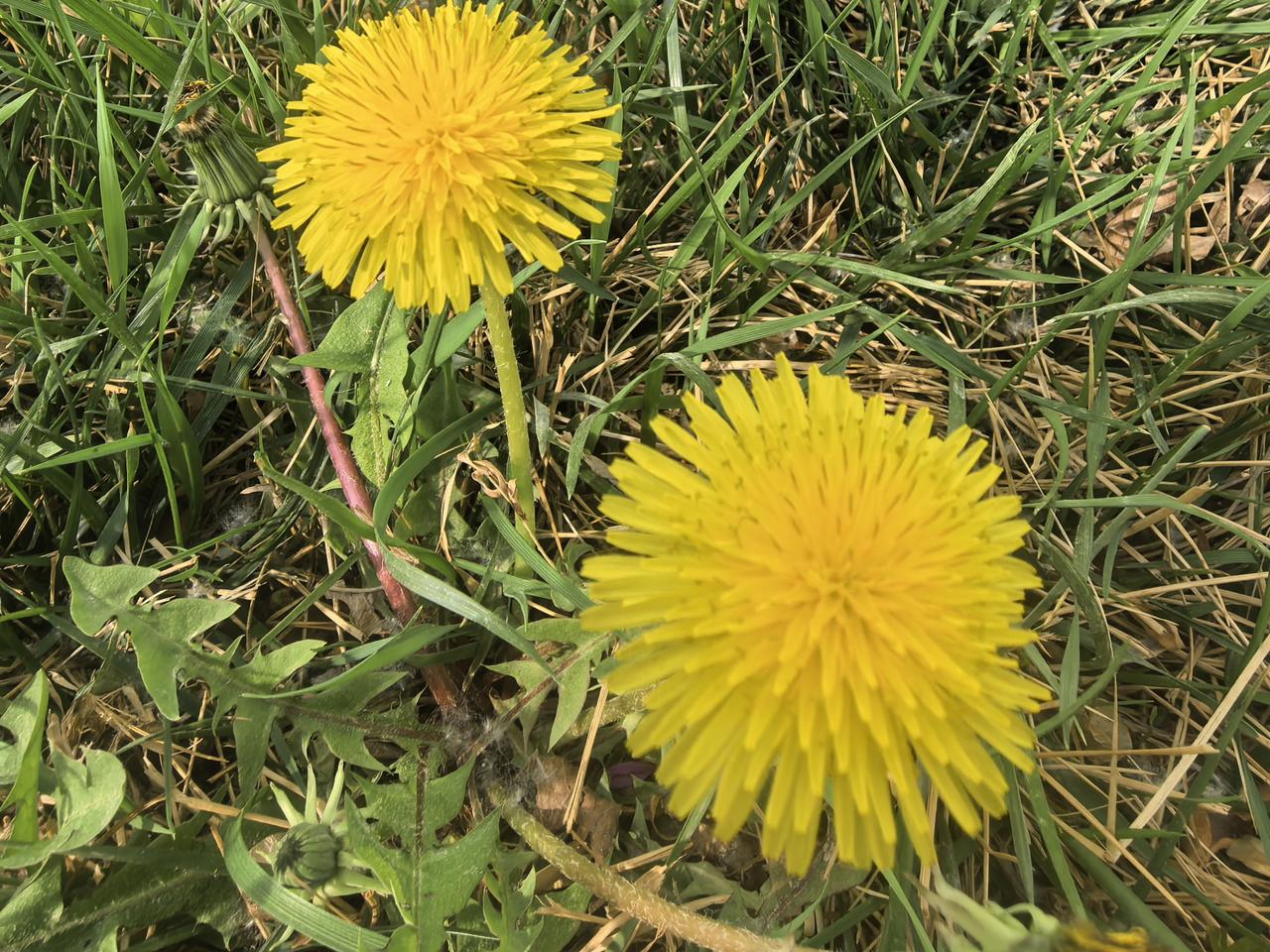 老婆躺在老公怀里问：“老公，你要是有100亿，你想做的第一件事是什么？”
“把你