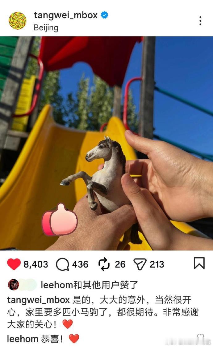 王力宏发文恭喜汤唯怀二胎 昨日，汤唯官宣怀二胎，王力宏在评论区恭喜，两人曾多次合