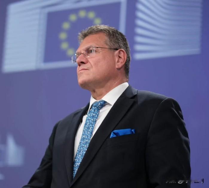 (政治报)欧盟贸易专员马罗什·谢夫乔维奇周六早些时候表示，中国已确认，将暂停对稀