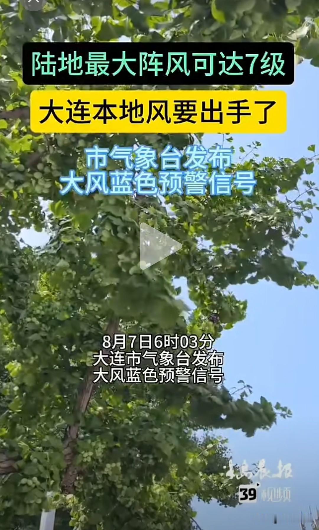 大连！立秋交节一刻暑气退散，不得不叹服古人节气推算太准🍃
 
大连今年立秋交节