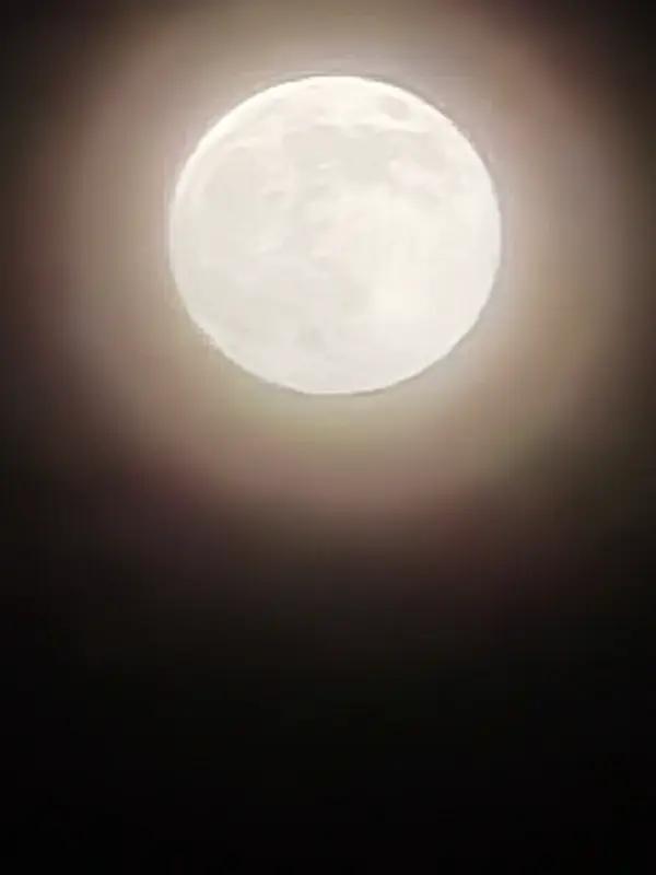 月亮总能引起人的思怀，这事儿太好理解了。从古至今，文人墨客就爱拿月亮抒情。李白一