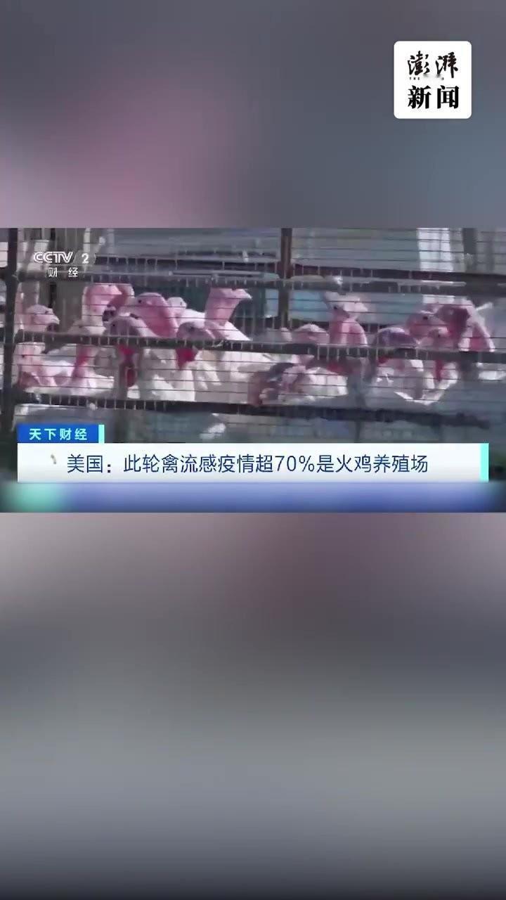 史上最严重能源危机来袭。欧洲著名国际关系与地缘经济学者侯赛因·阿斯卡里指出，美以