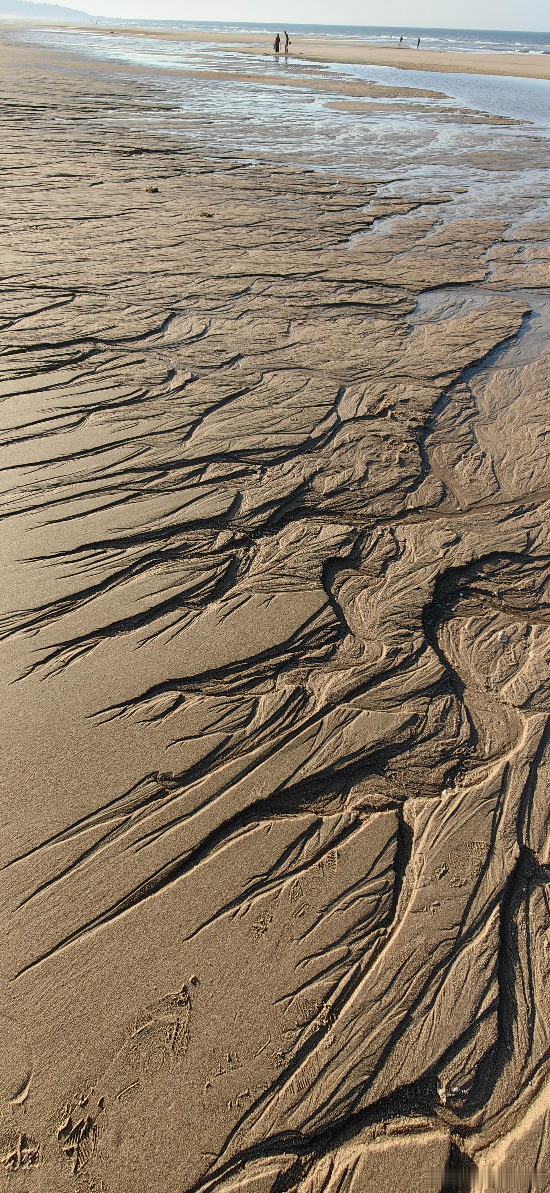 我的2026 沙有迹海无声流淌的是海的韵律 