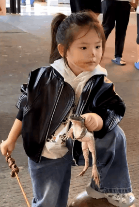 青蛙:
不敢动，一动也不敢动……