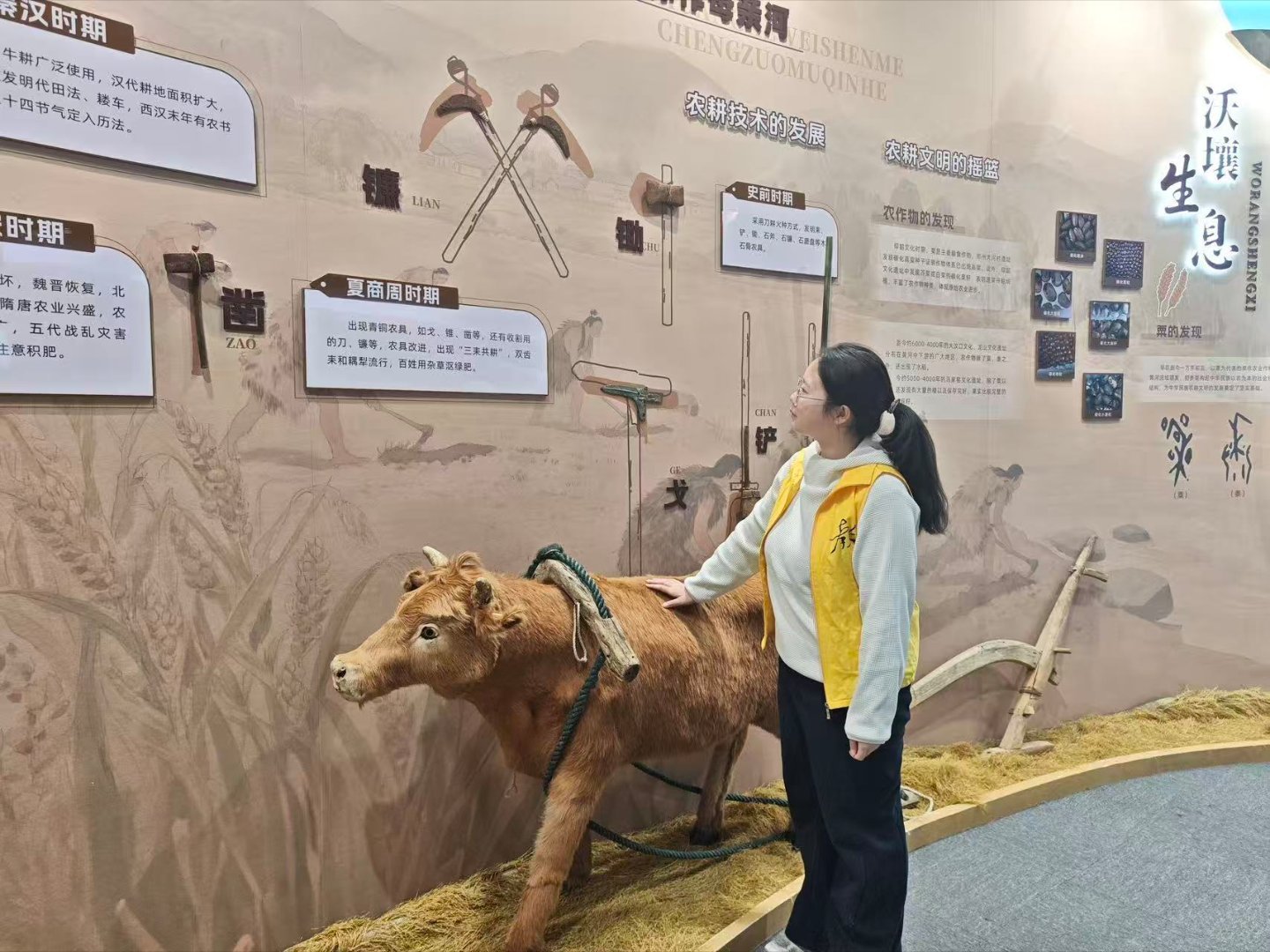 秦岭笑谈曲阜师范大学镜头下的三下乡三下乡青春三下乡  2026年1月17日，曲阜