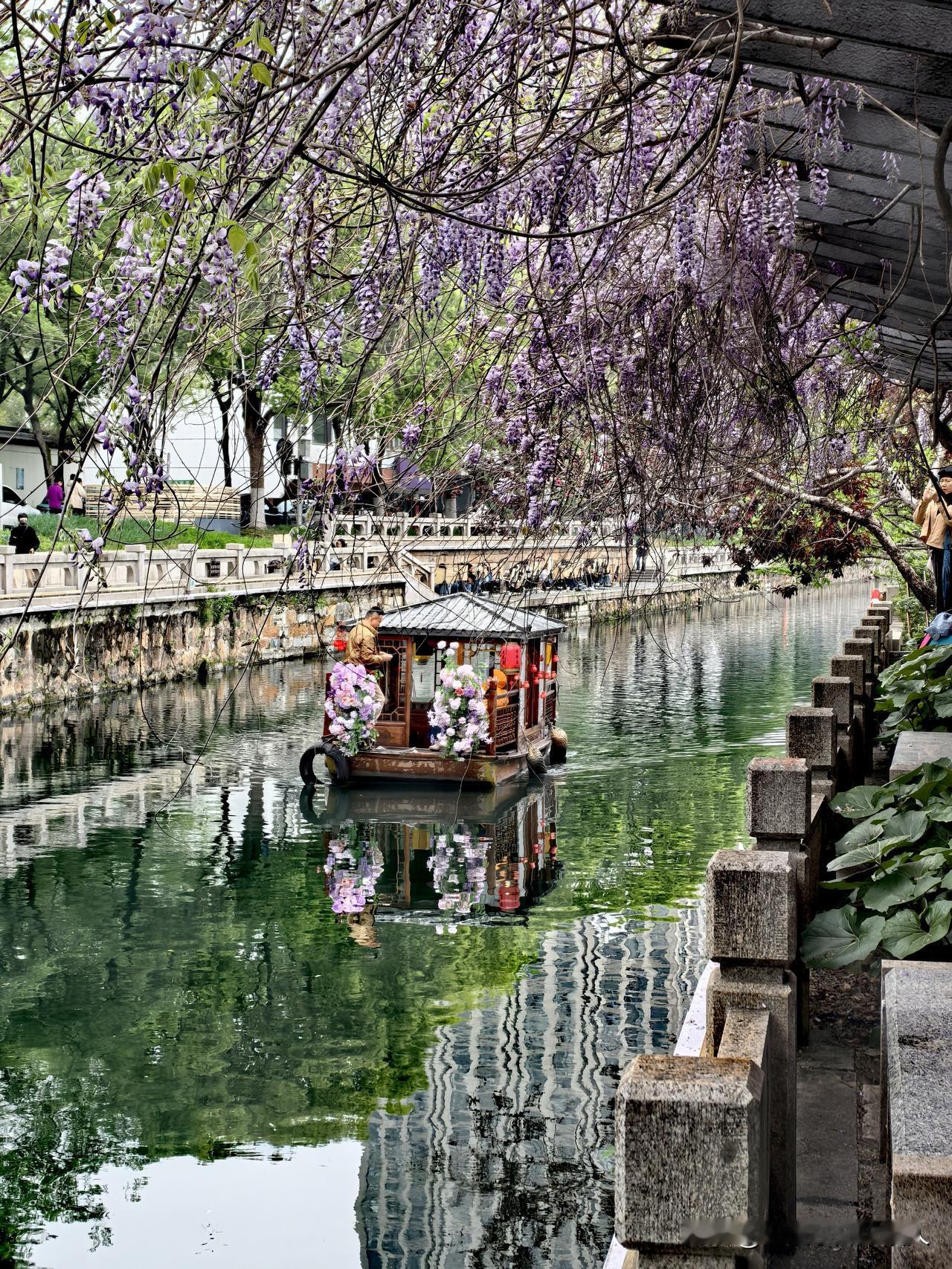 二千五百多年春秋古运河旁，紫藤花盛开，春意正浓，小桥流水，小舟荡漾。