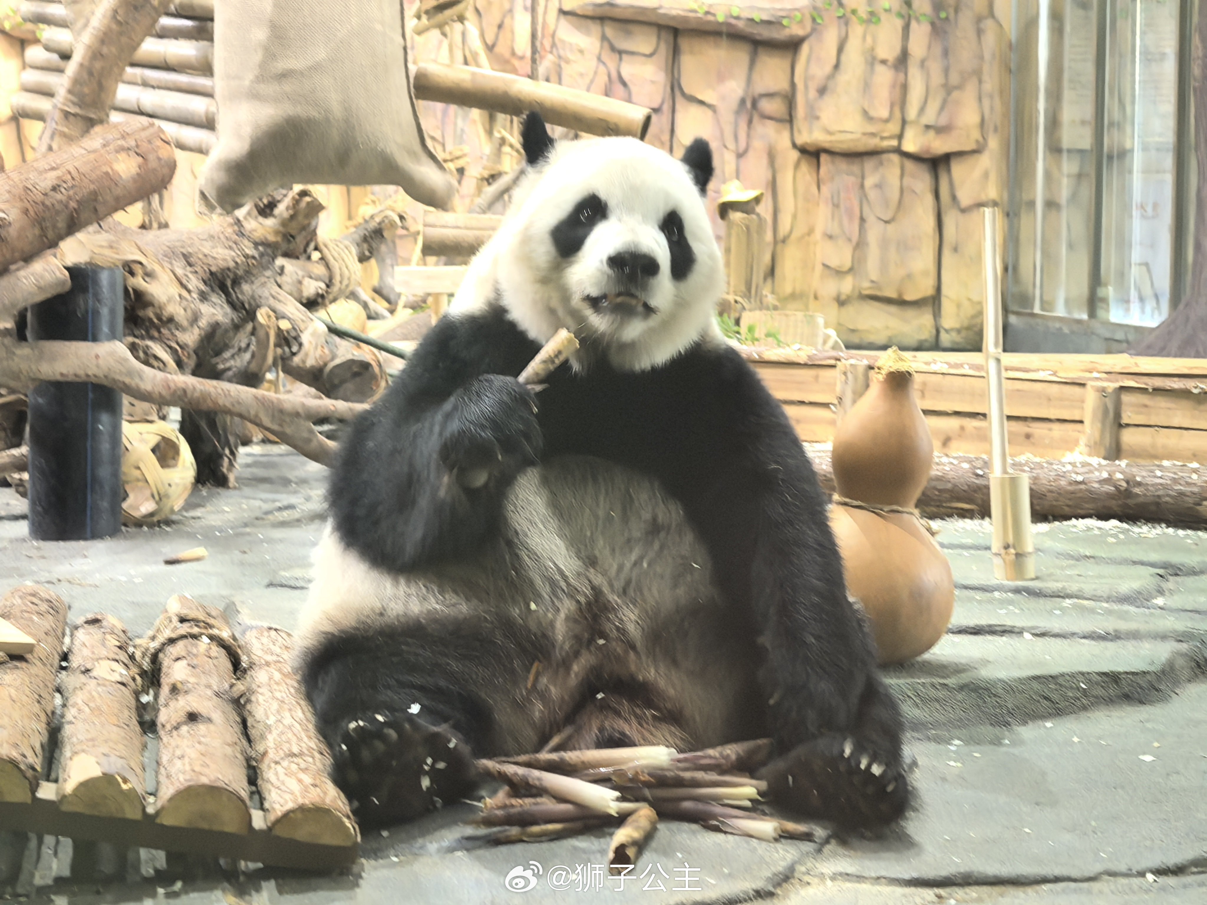 傻呼呼傻呼呼 