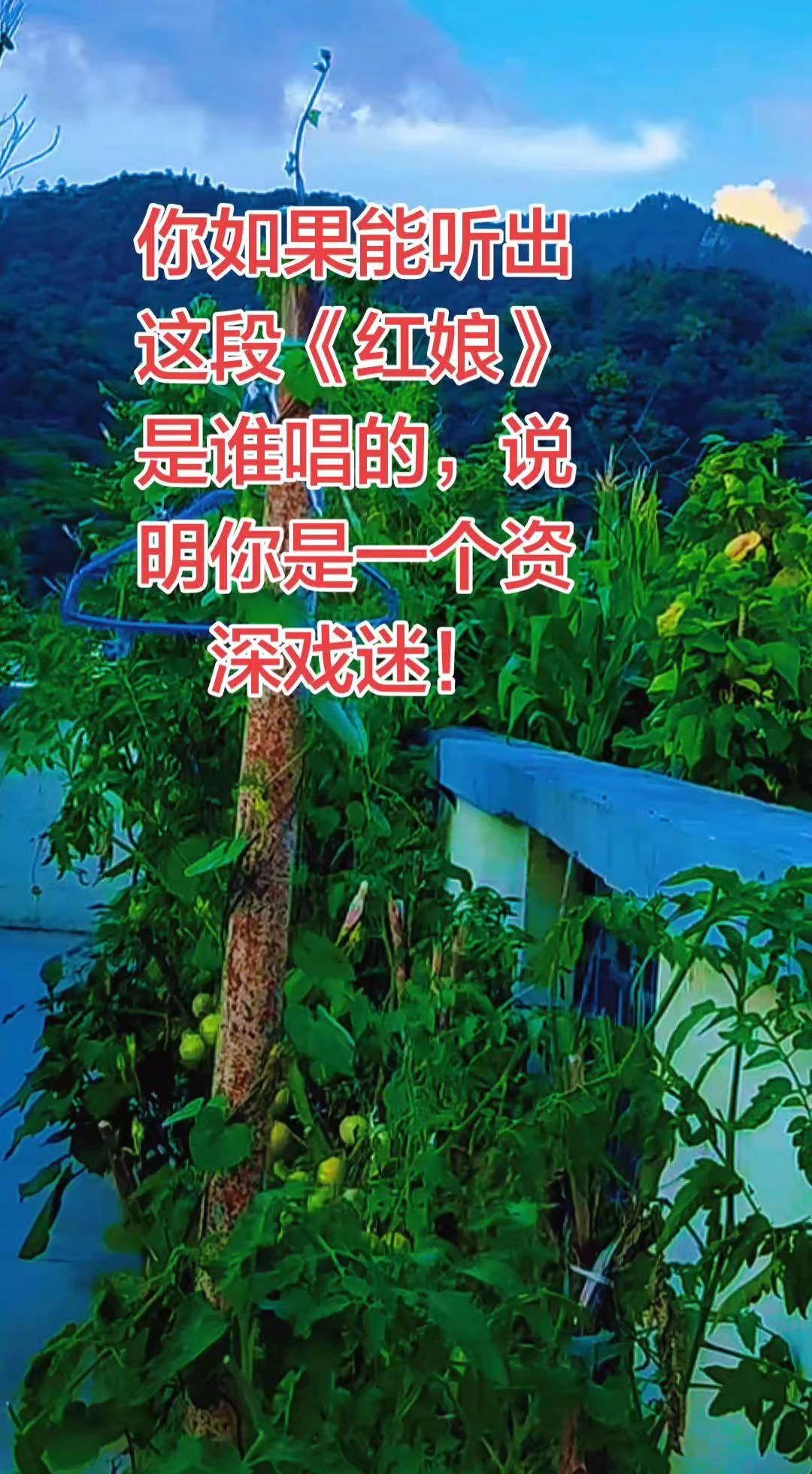 你如果能听出这段《红娘》是谁唱的，说明你是一个资深戏迷！