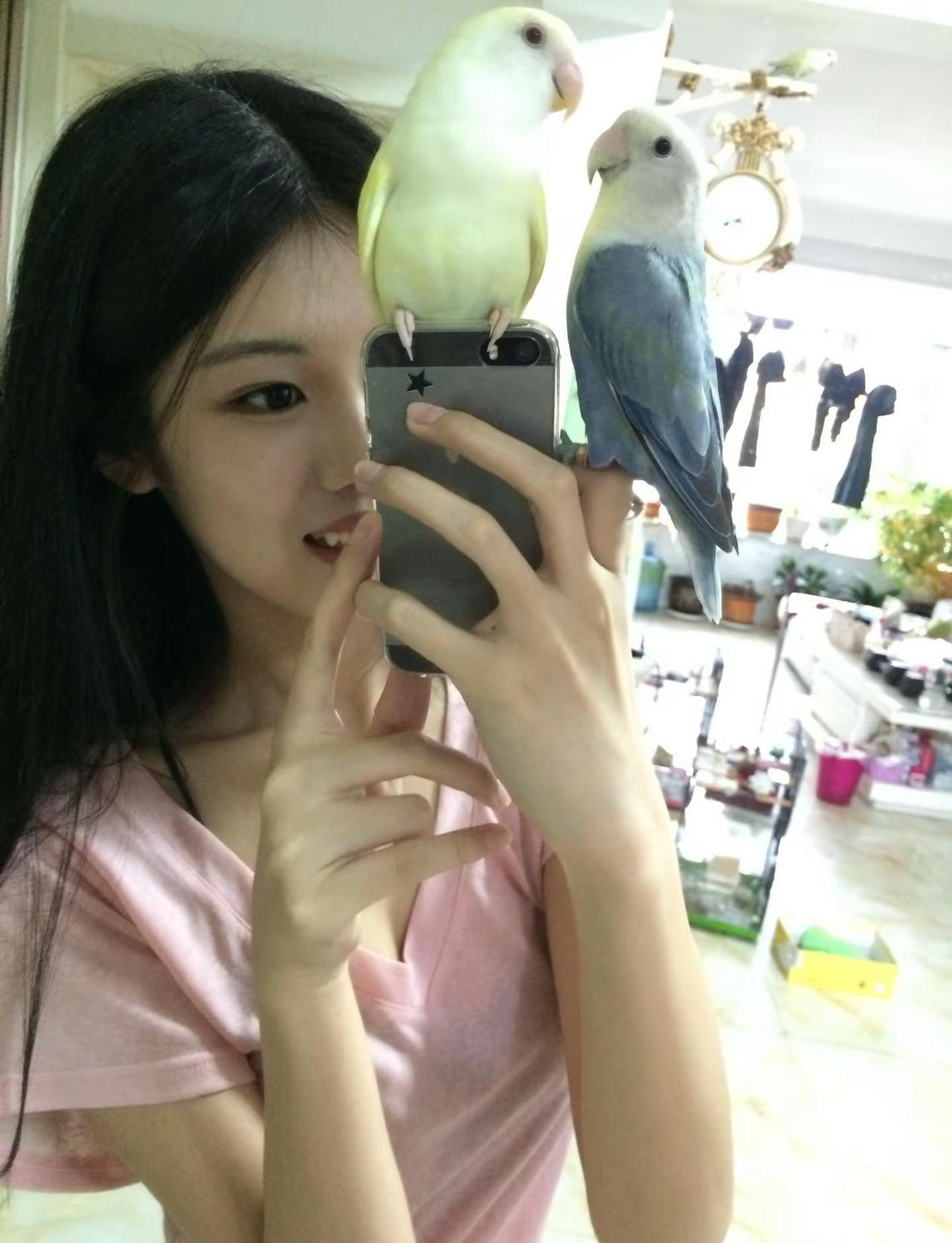 你说没人能天天围着我转是吗 行 跟我的飞天老虎钳说去吧yc@一粒葵 牡丹鹦鹉 夏