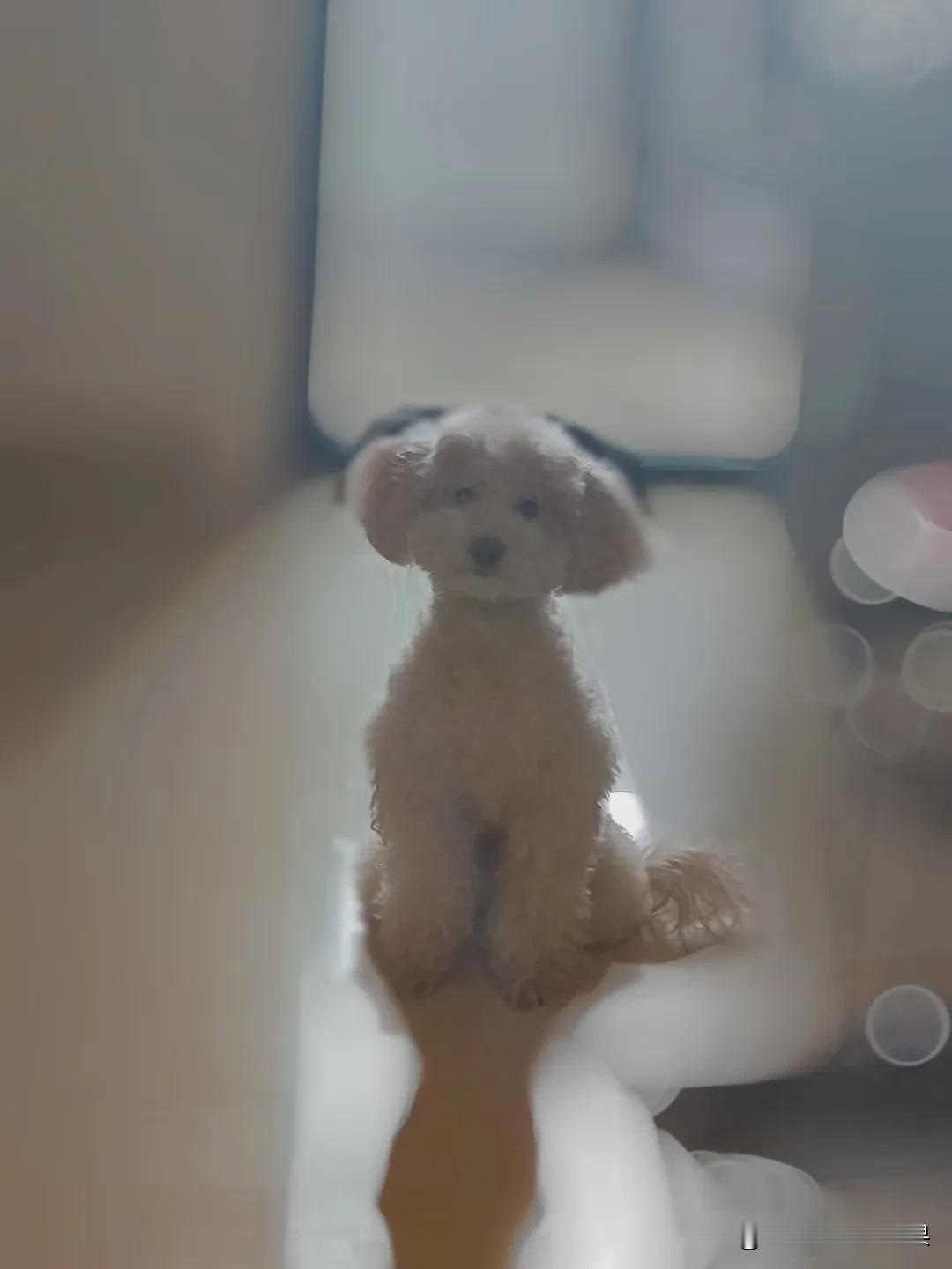 宁愿不结婚，也不要嫁的人

1、情绪化的医生

讲真，医生是一个很熬人的职业，越