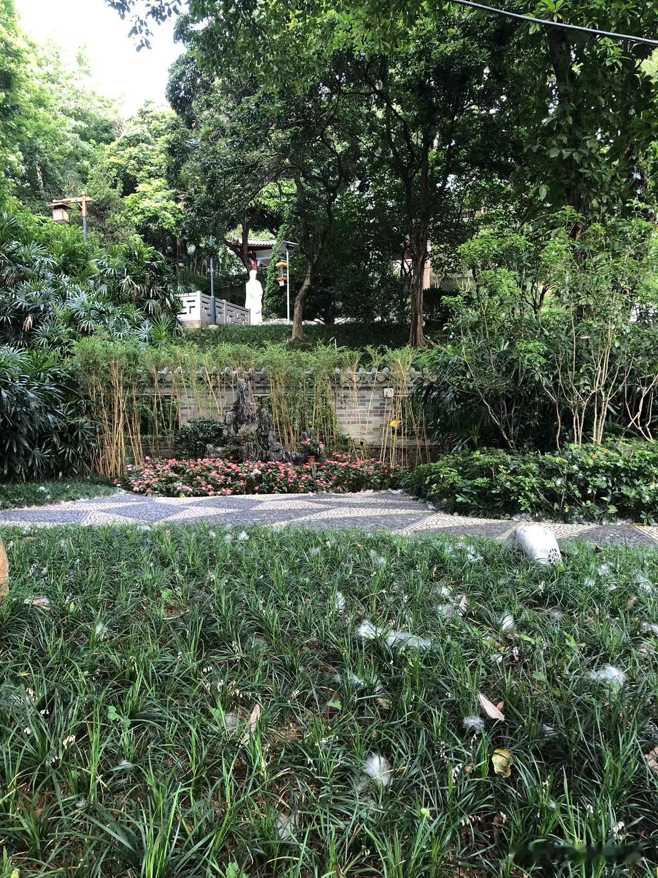 【人家西湖边春天飘的是柳絮，我们这儿西湖边飘的却是棉絮】

跟大家，尤其是岭南以