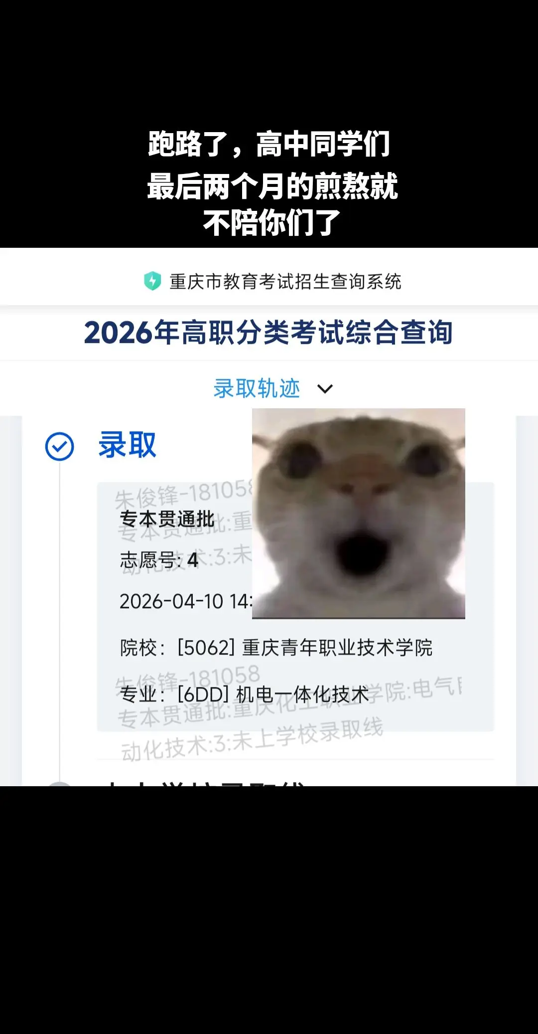 春招生先跑路了。