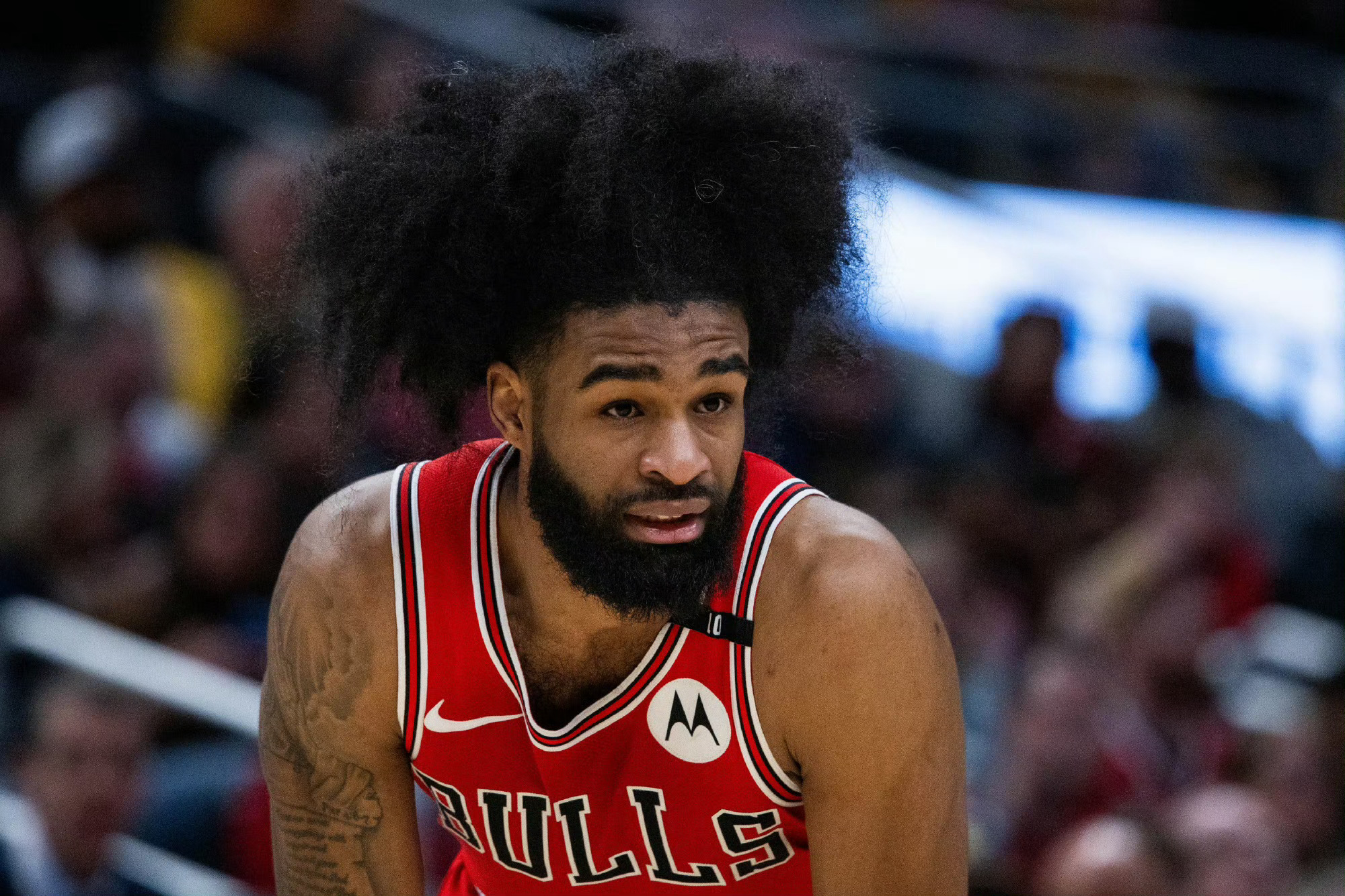 JCowleyHoops：森林狼队对公牛怀特、多松姆和特琼斯表现出了兴趣。 nb