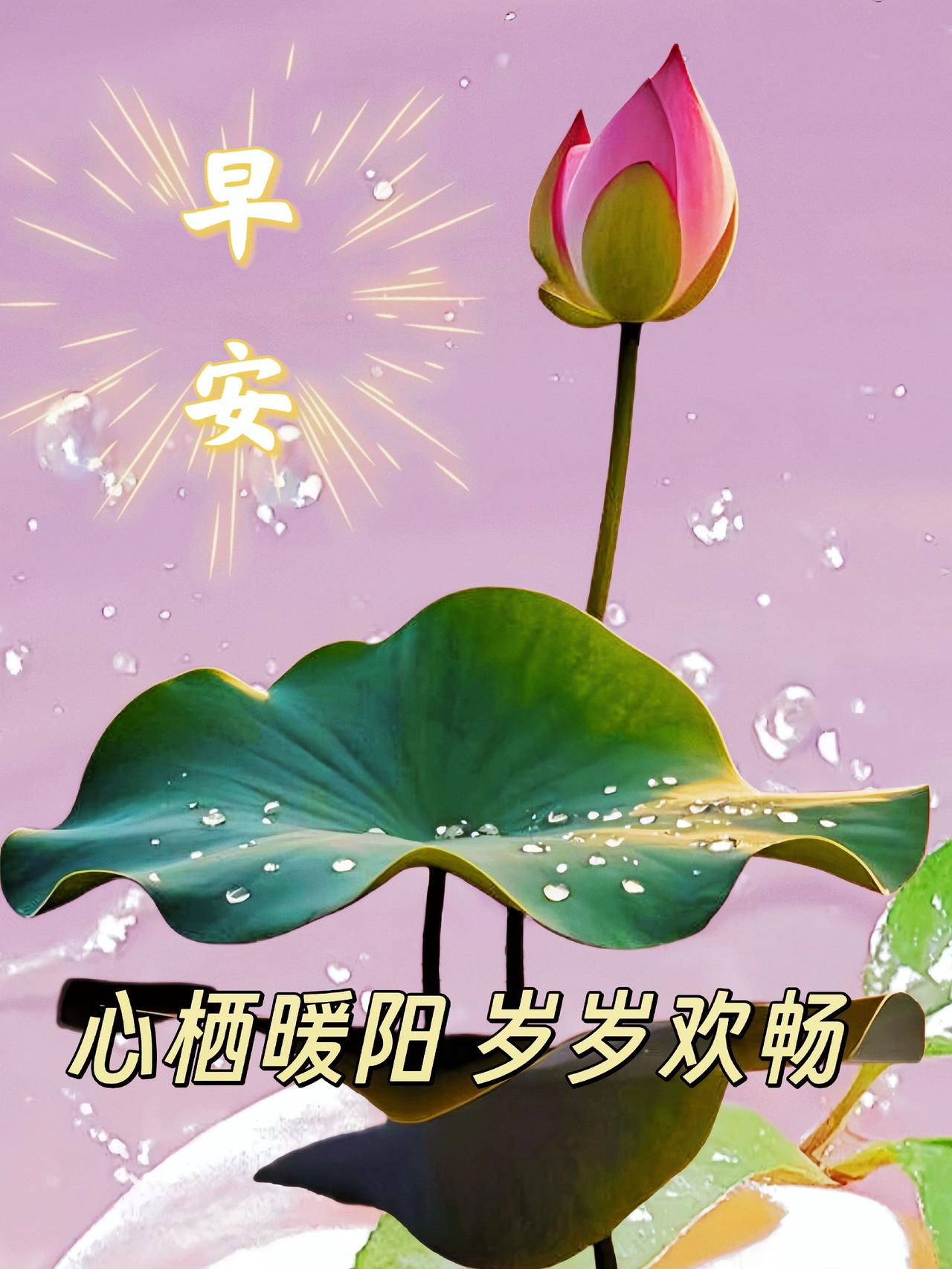 上热门原创视频 支持抖音传播正能量 正能量 每天跟我涨知识