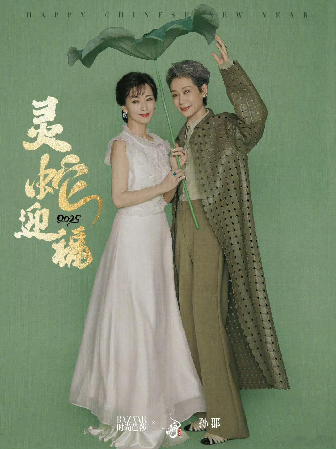 赵雅芝&叶童、陈丽君&陈昊宇 《时尚芭莎》蛇年主题大片 