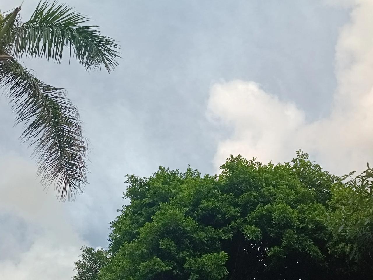 今天天气晴朗，简直绝了！阳光明媚，云卷云舒的天空。清晨鸟儿飞，阳光透过窗户洒在脸