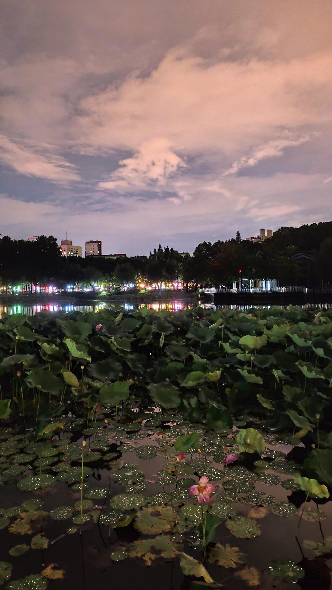 有没有好看的风景图片分享夏日美天地
