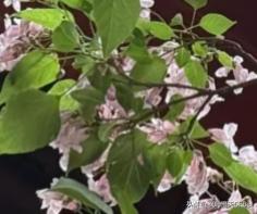 有网友说：有这手艺月入五万不难，他为何偏要用来制作一个复仇“快递”？



这两