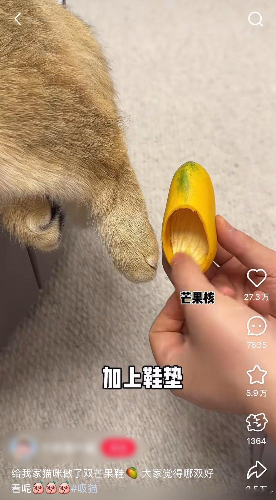 一个芒果炸出多少兴趣邪修 芒果鞋的保质期像初夏的花期般短暂，却抵不住每天冒出的新