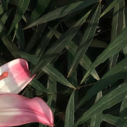 风拂过铁艺栏杆，锈迹斑斑的痕迹里藏着岁月的低语。一株小花在缝隙中倔强生长，仿佛在