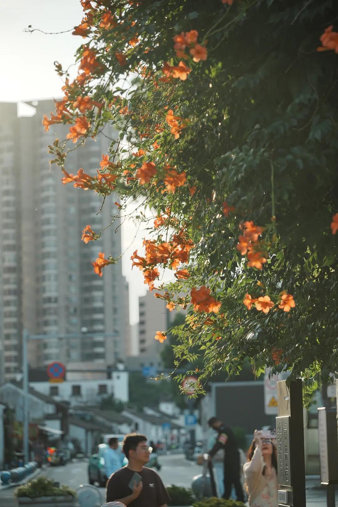 老祖宗留下的忠告：

1、人生有两饭不吃：
上了菜的宴席，下了桌的酒
2、人生有
