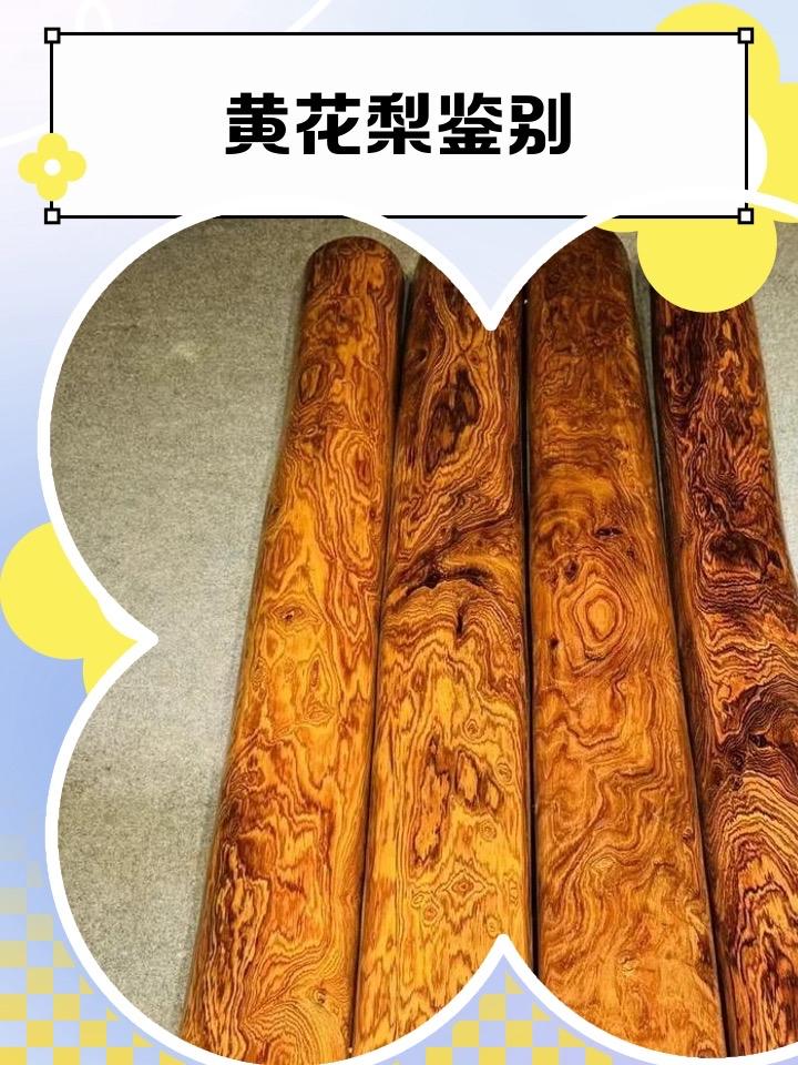 黄花梨是明代皇家专宠的“木中黄金”，生长周期长达数百年，明末时大料就已近乎绝迹。