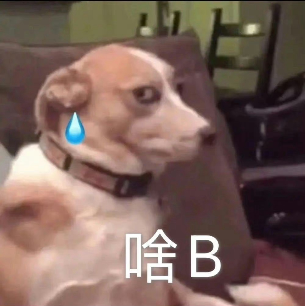 现在是分享表情包时间 #表情包# ​​​