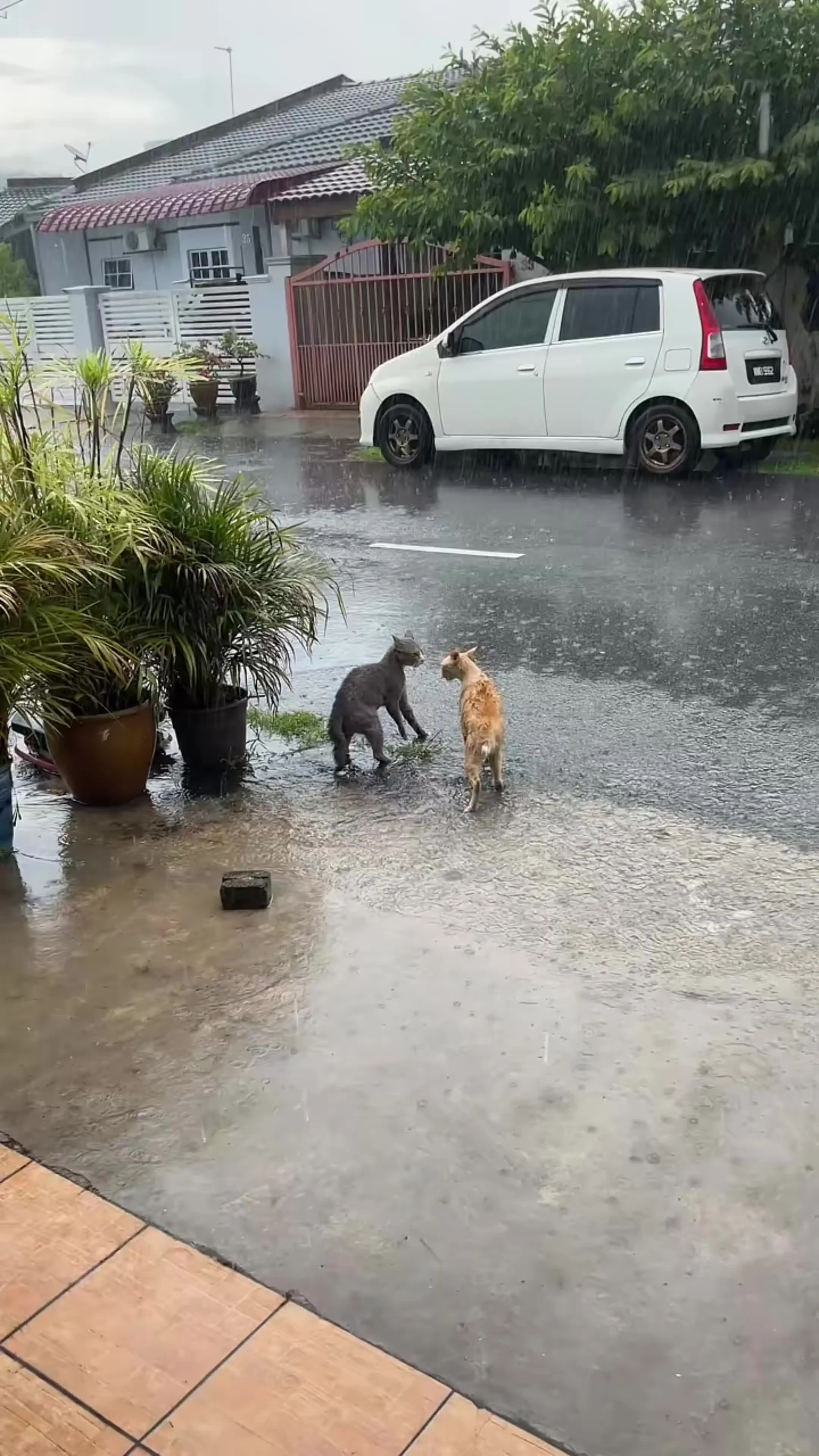 你们不要再打了～