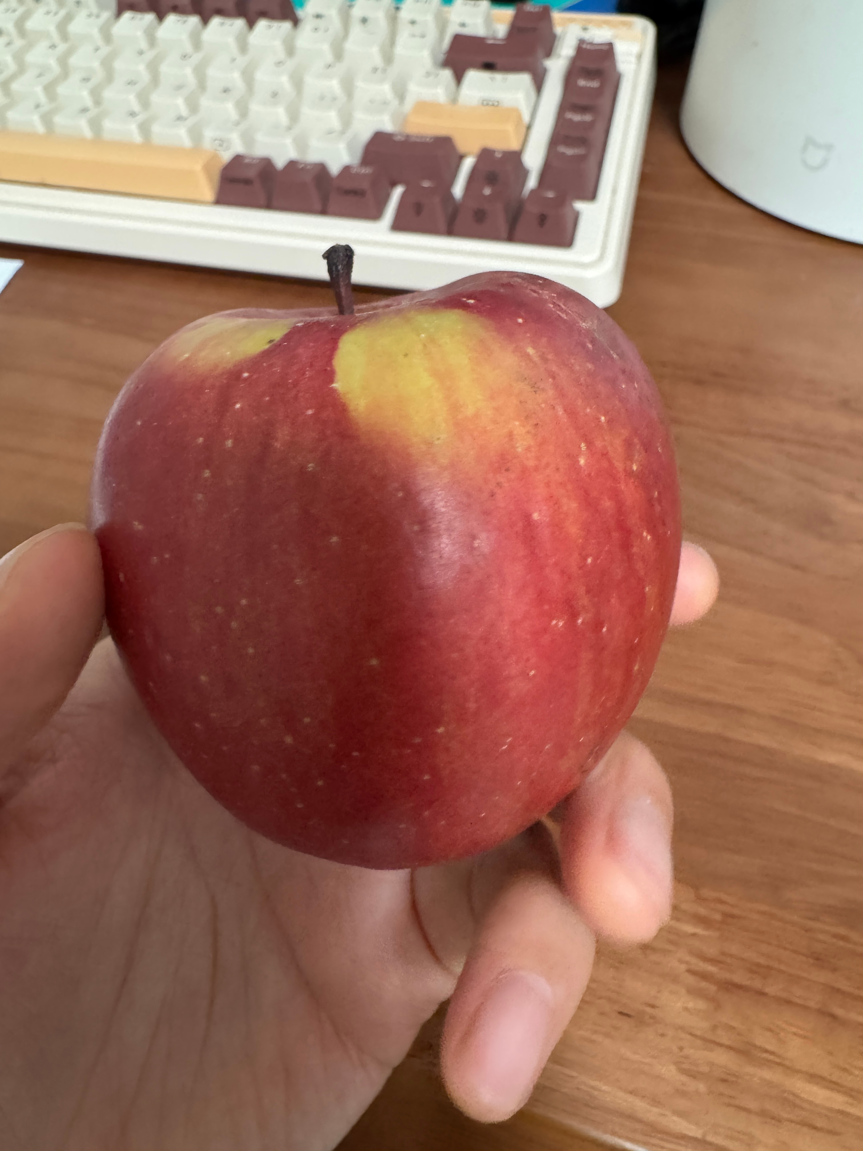 大家平安夜快乐🎄平平安安苹果