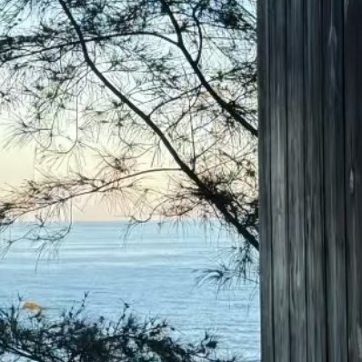 0000收集散落的细碎阳光，治愈生活里所有疲惫沮丧。保持乐观与坦荡，追光而行，往