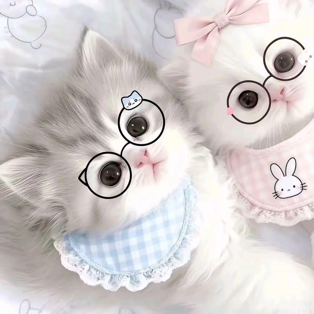 自存情头ʢ˶ᵒ ᵕ ˂˶ʡᶻ 