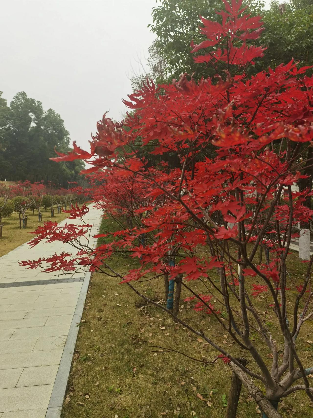 适当拉开火车卧铺，上中下铺的票价差距，并不能完全杜绝，关于换铺而产生的矛盾。因为