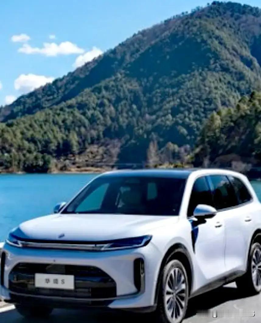 专家预判，未来只剩这几家车企：
1、比亚迪是99%，
2、奇瑞是98%，
3、吉