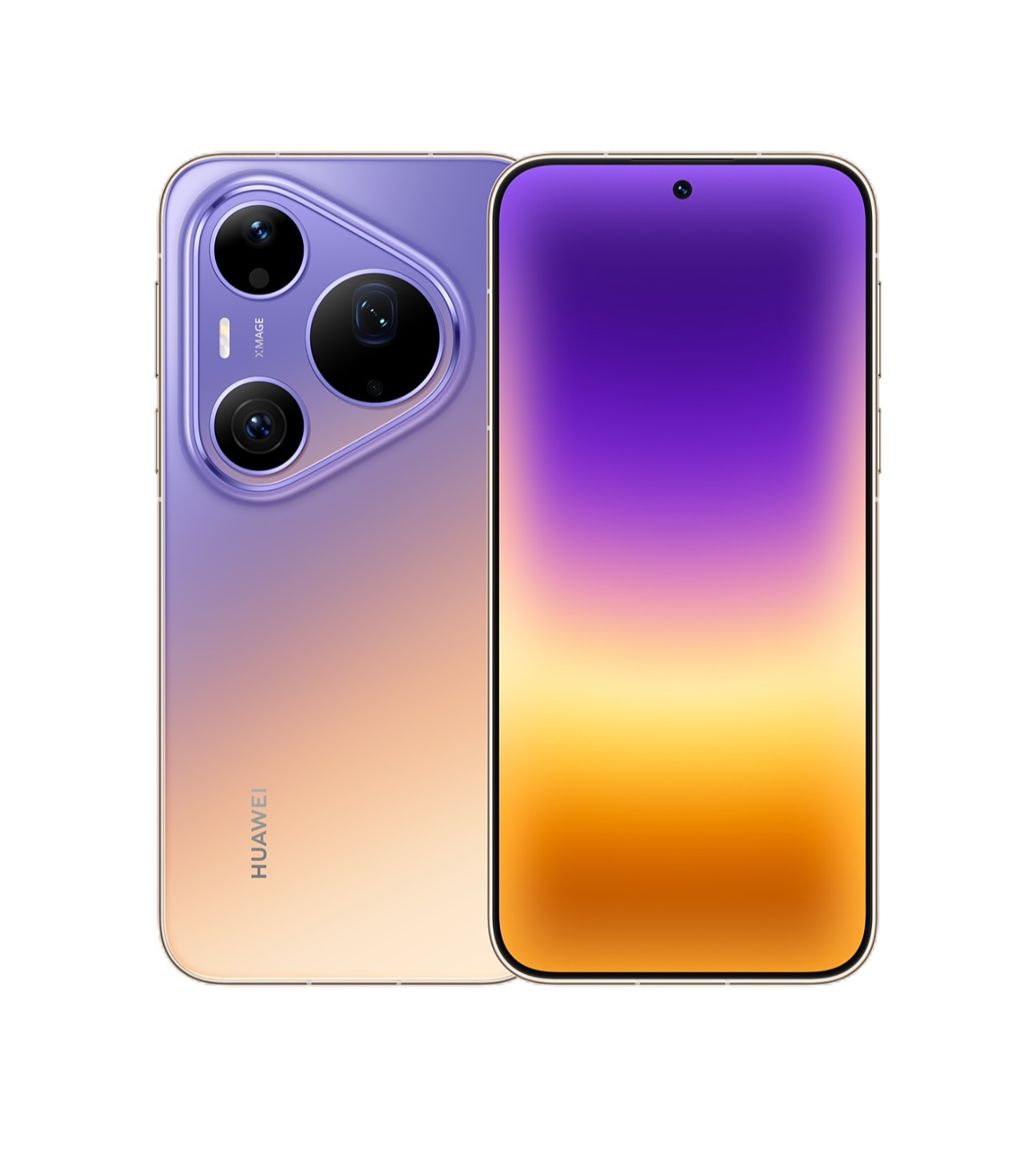 犹豫不决就选骚紫拿下拿下