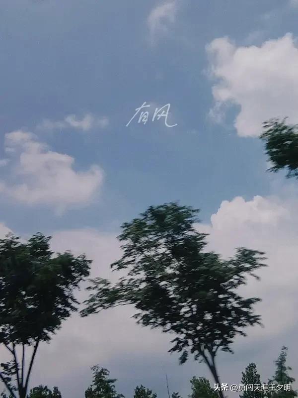 看到“风起风息风未语”这个上联，瞬间来了兴致。这上联描绘出风或起或息，却静默无言