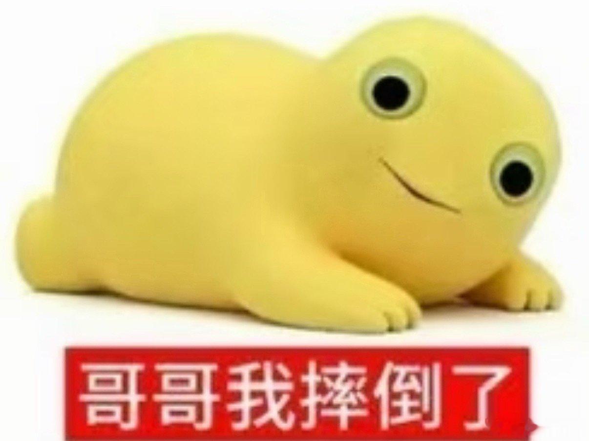 小宋哥哥我摔倒了 
