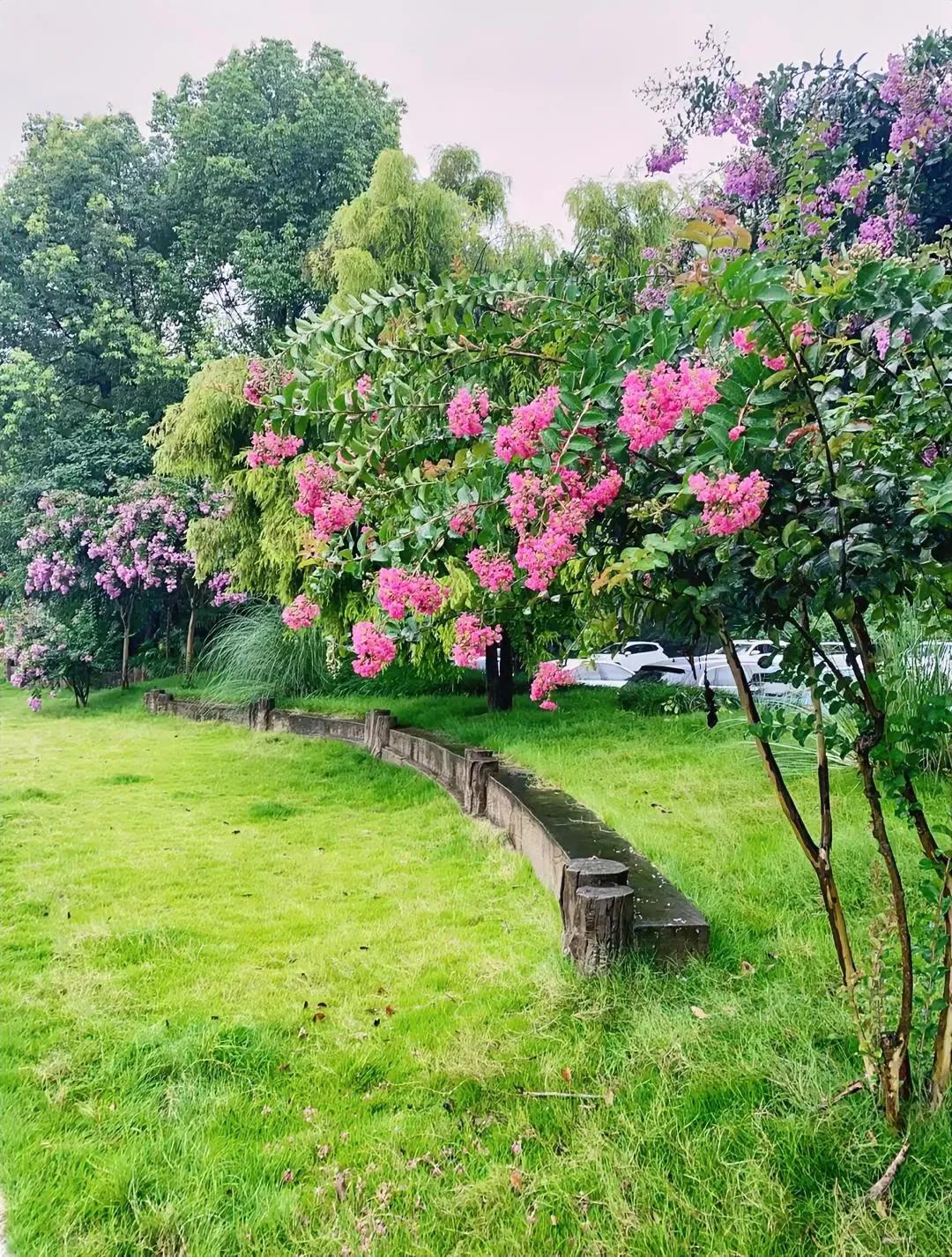 最近的医疗反腐影响真大！
一个同学得了甲状腺瘤需要开刀，
本来已经买好了一些特产