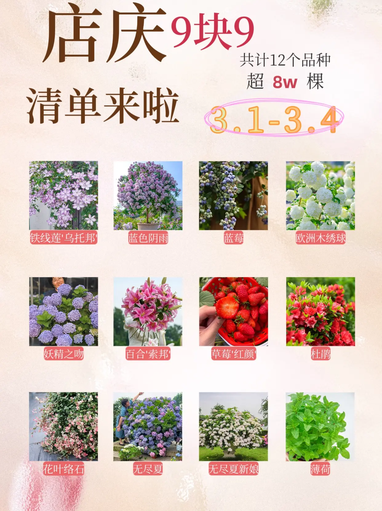 让我等到啦！乌托邦也只要9块9~。3月1日-4日，海妈家店庆活动，第一...