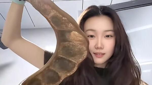 近日，一名女子携带1米长的巨大豆荚乘坐飞机从云南返回东北，引发网友广泛关注和围观