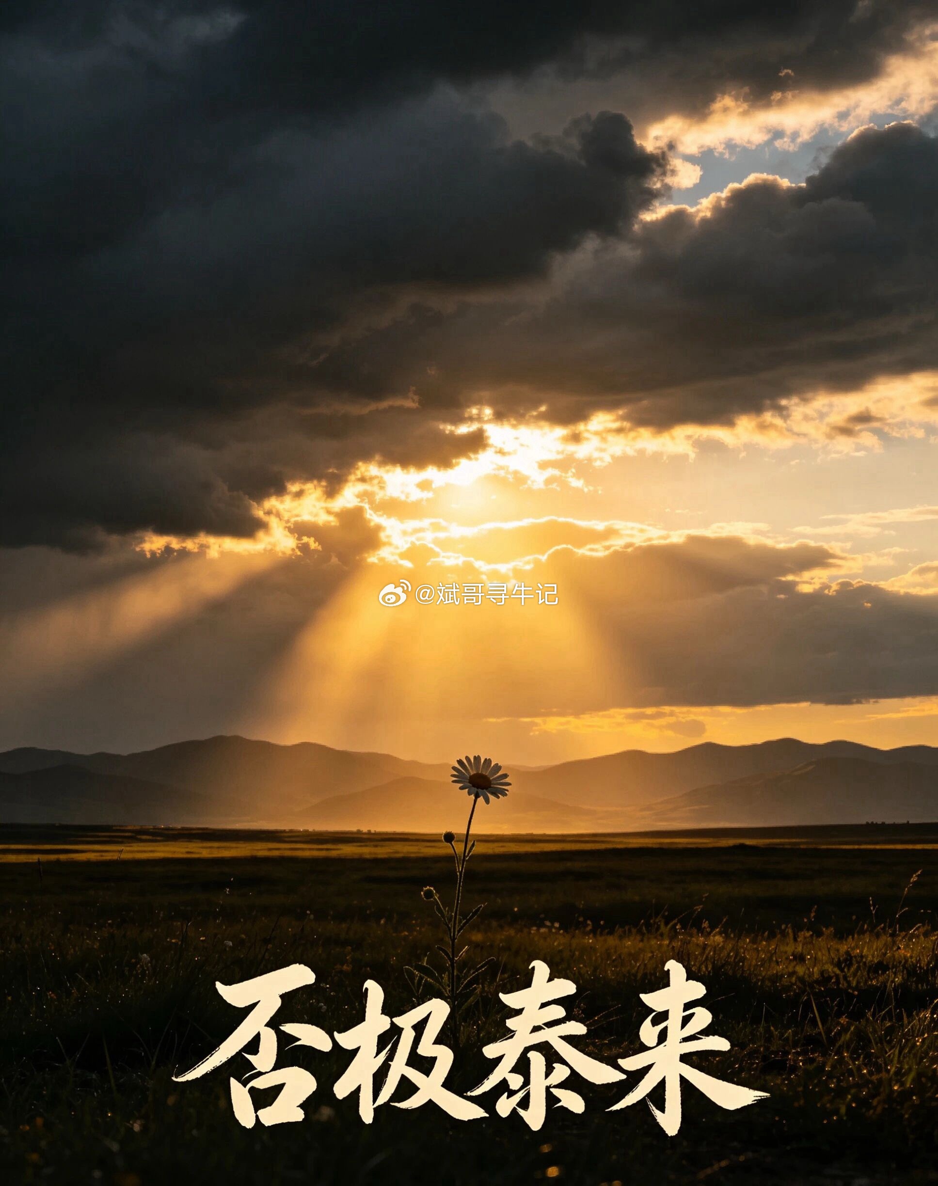 明日行情预判午后大盘收出中阳线，盘面完成反转，早盘超4000家下跌，收盘涨跌趋于