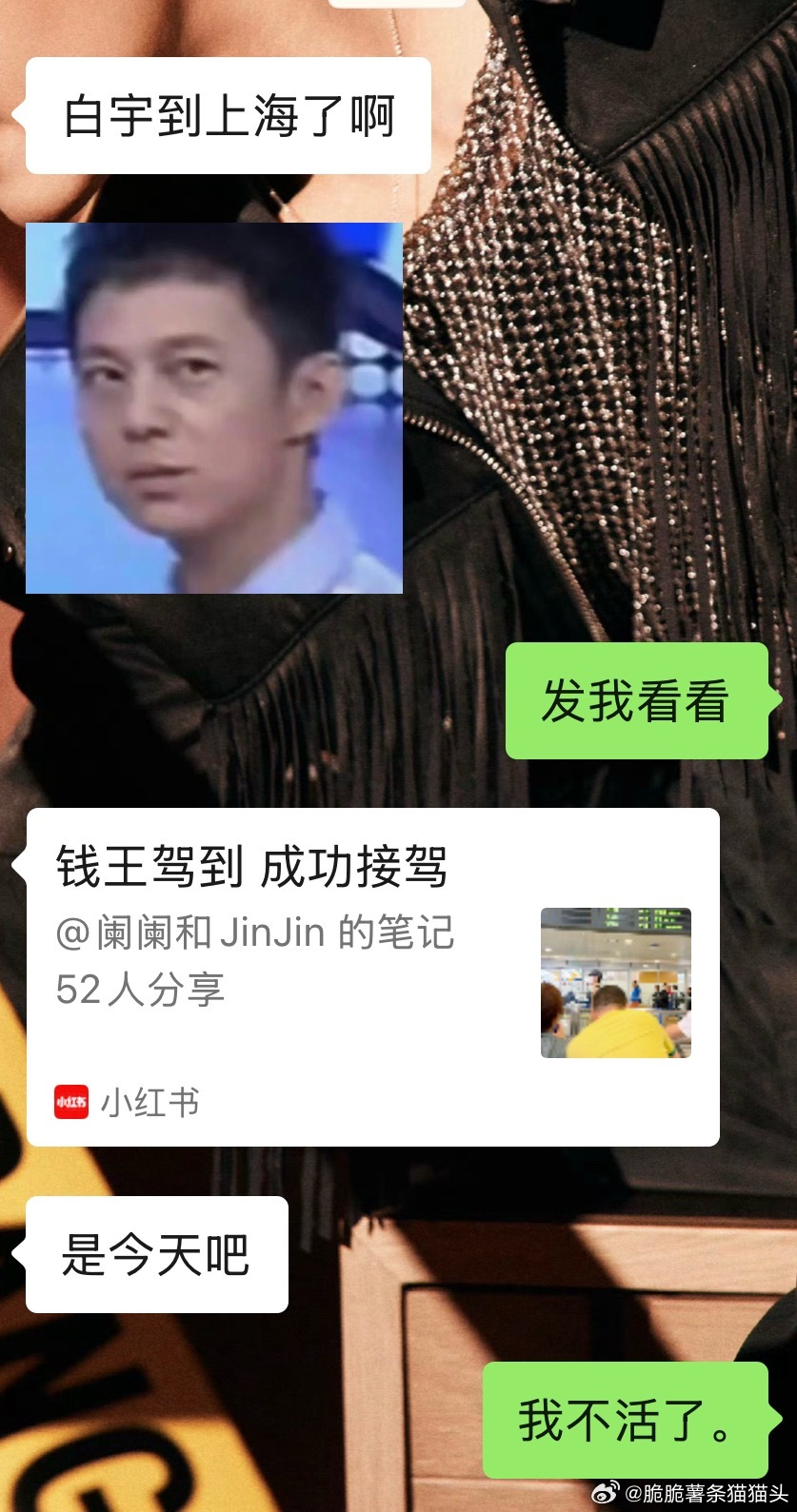 看我ip我真不活了 
