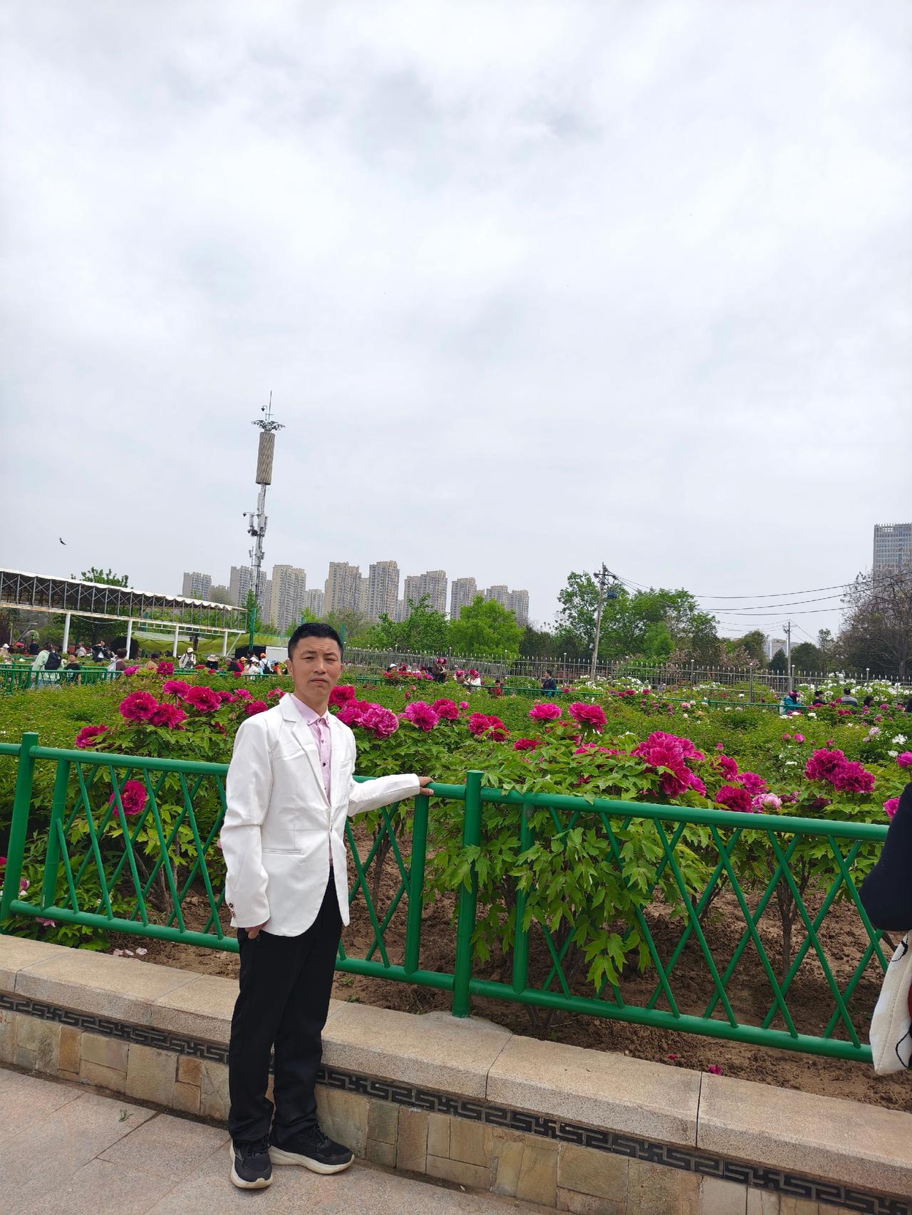 曹州牡丹园游赏