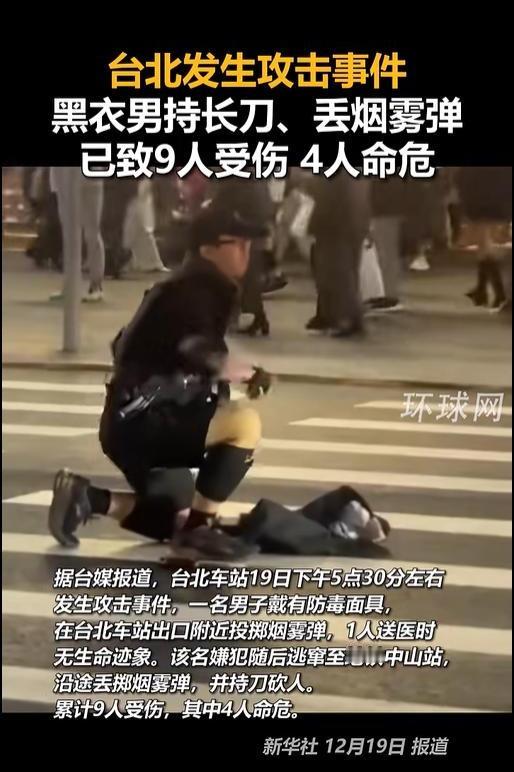 12月19日傍晚通勤高峰，台北车站及邻近区域突发连环袭击案。27岁“妨害兵役”通