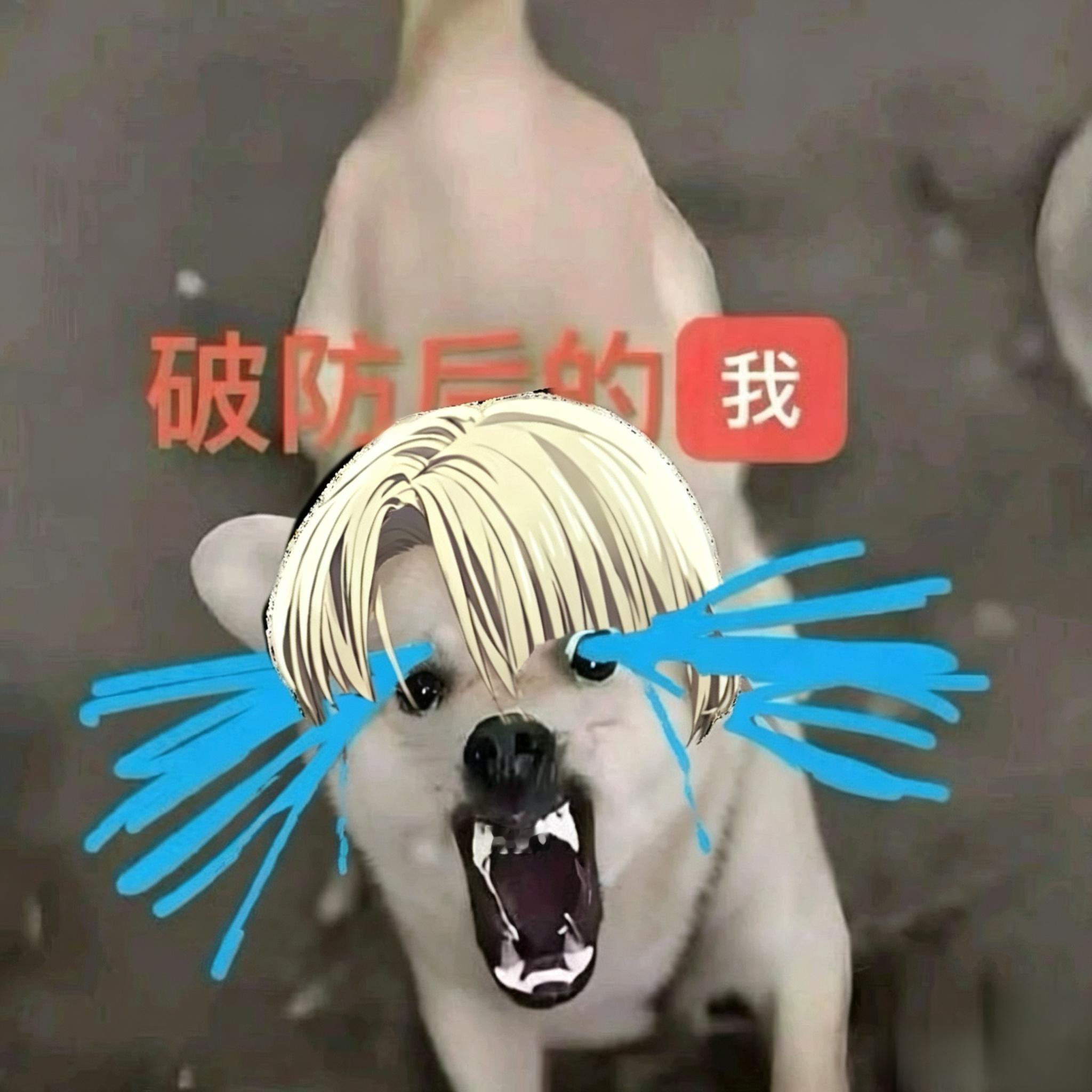 24290【】排头像 