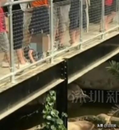 “太可怕”！6月18日，4.5米高鳄鱼观赏区，30岁男子突然抱起3岁男童，直接扔