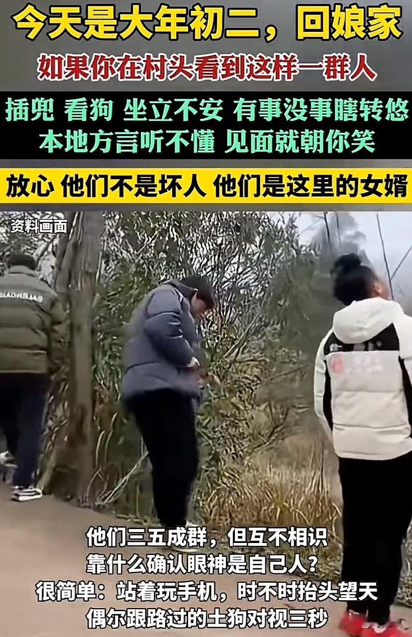 初二村口出现大量外地女婿

手插裤兜，脚踢石头。看看天空，唤唤狗狗。上下转转，左