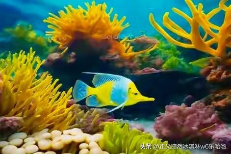 中国深海探索意义重大。从资源角度看，新一轮找矿突破战略行动成效显著，深海可能蕴藏