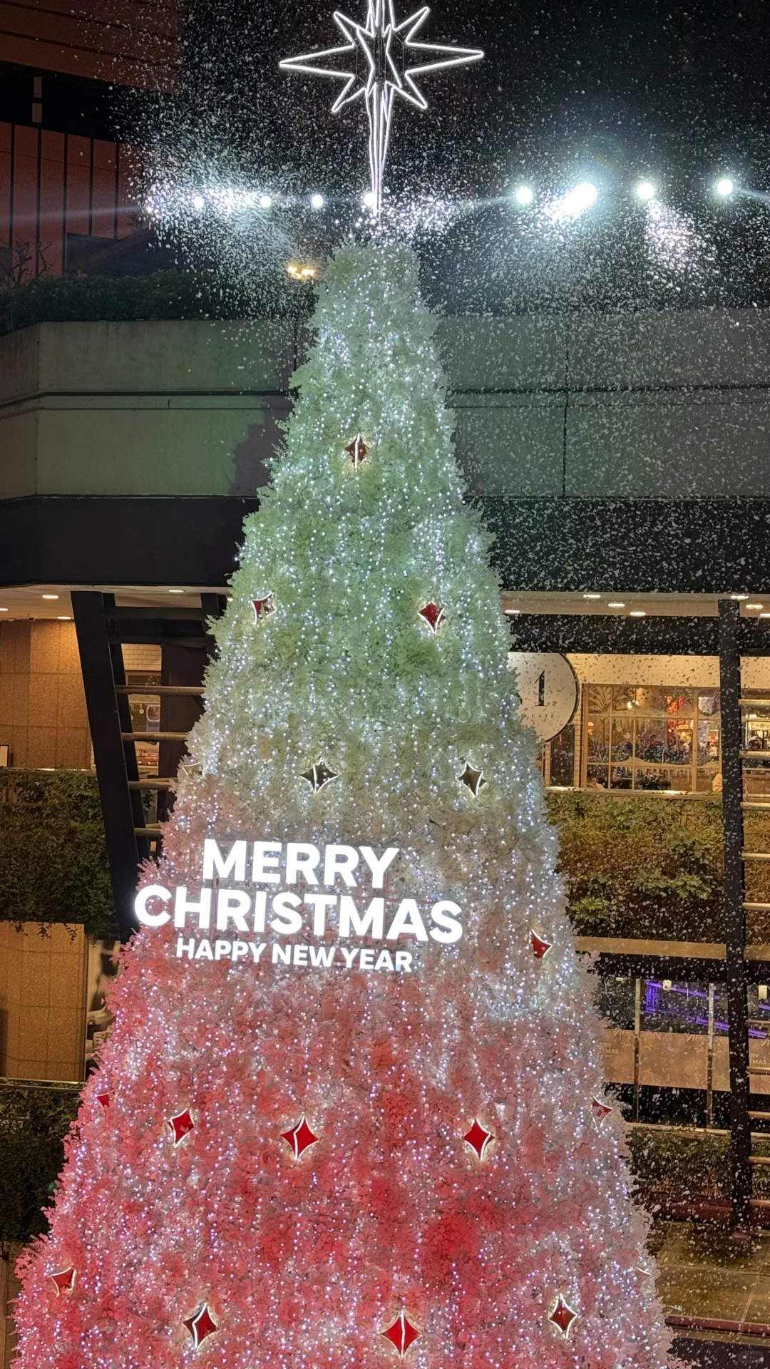 台北｜聖誕節🎄美得像夢