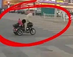 苏州一宠物狗骑电动车上街，并且后座还坐着一只小型宠物狗，
以及这个宠物狗是个网红