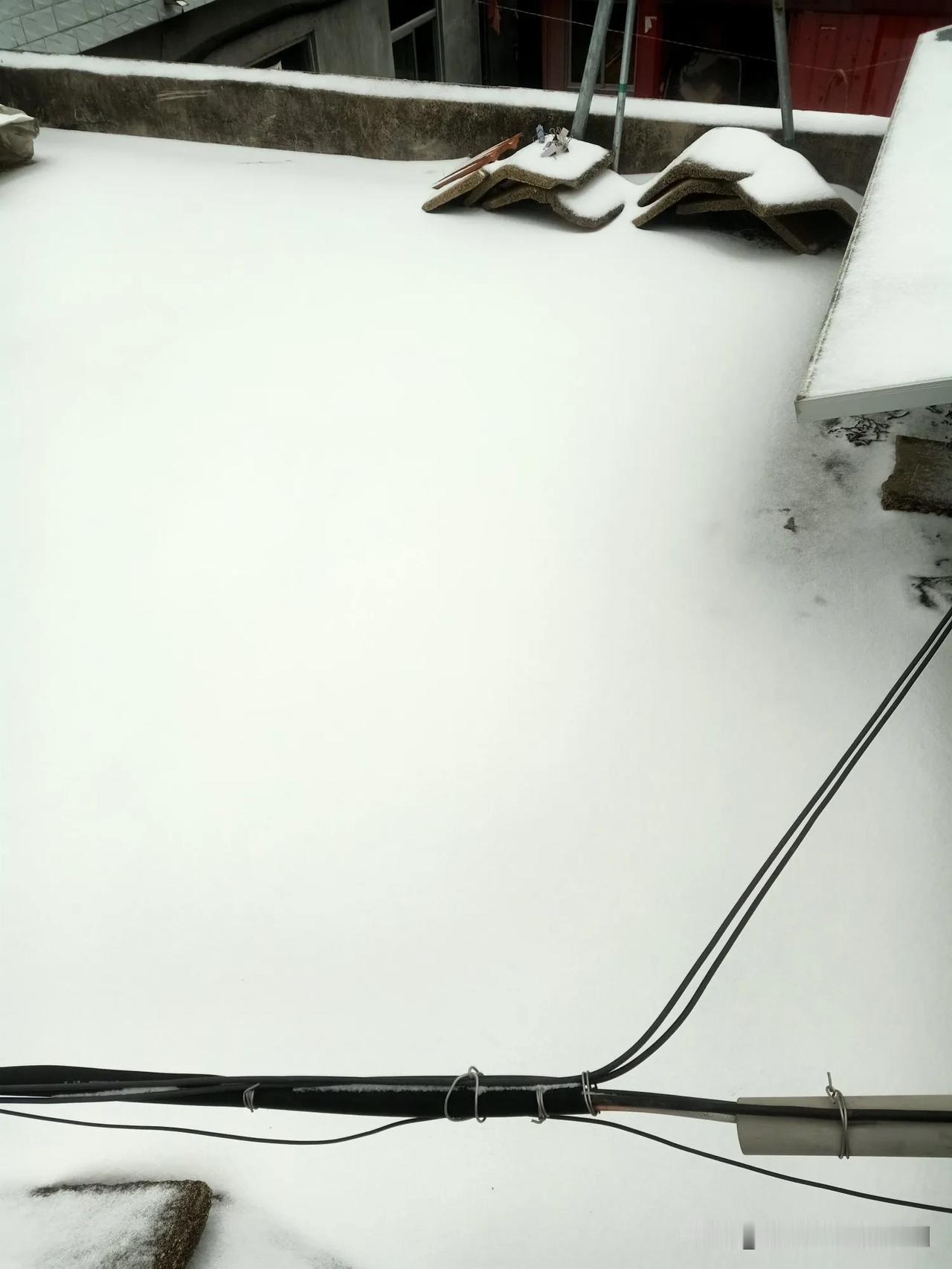 路上看到的冬日街景下雪了，下雪了，2026年的第一场雪，瑞雪兆丰年，新年新气象，